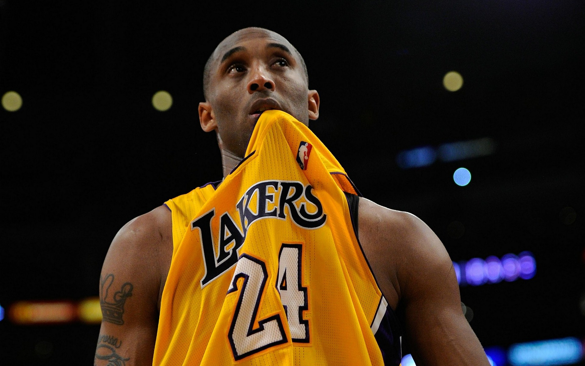 凭借深刻的 凭借深刻的